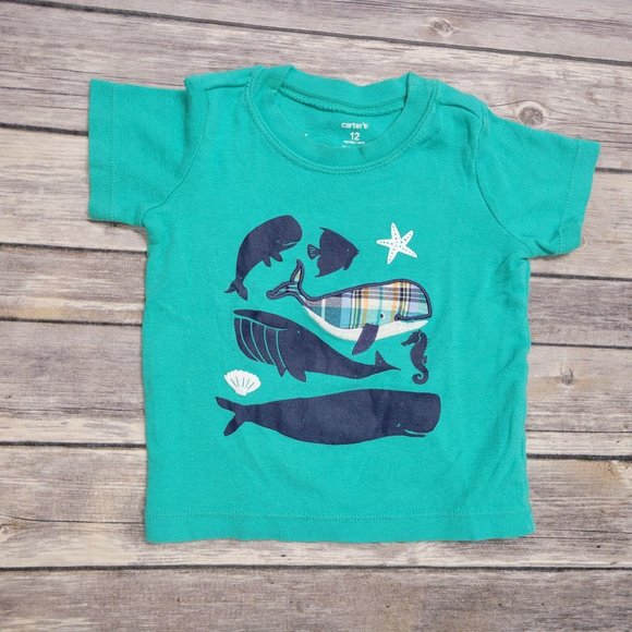 Carters Toddler Boy 12 Mo Shirts Shorts Bundle 720 - Picture 14 of 16